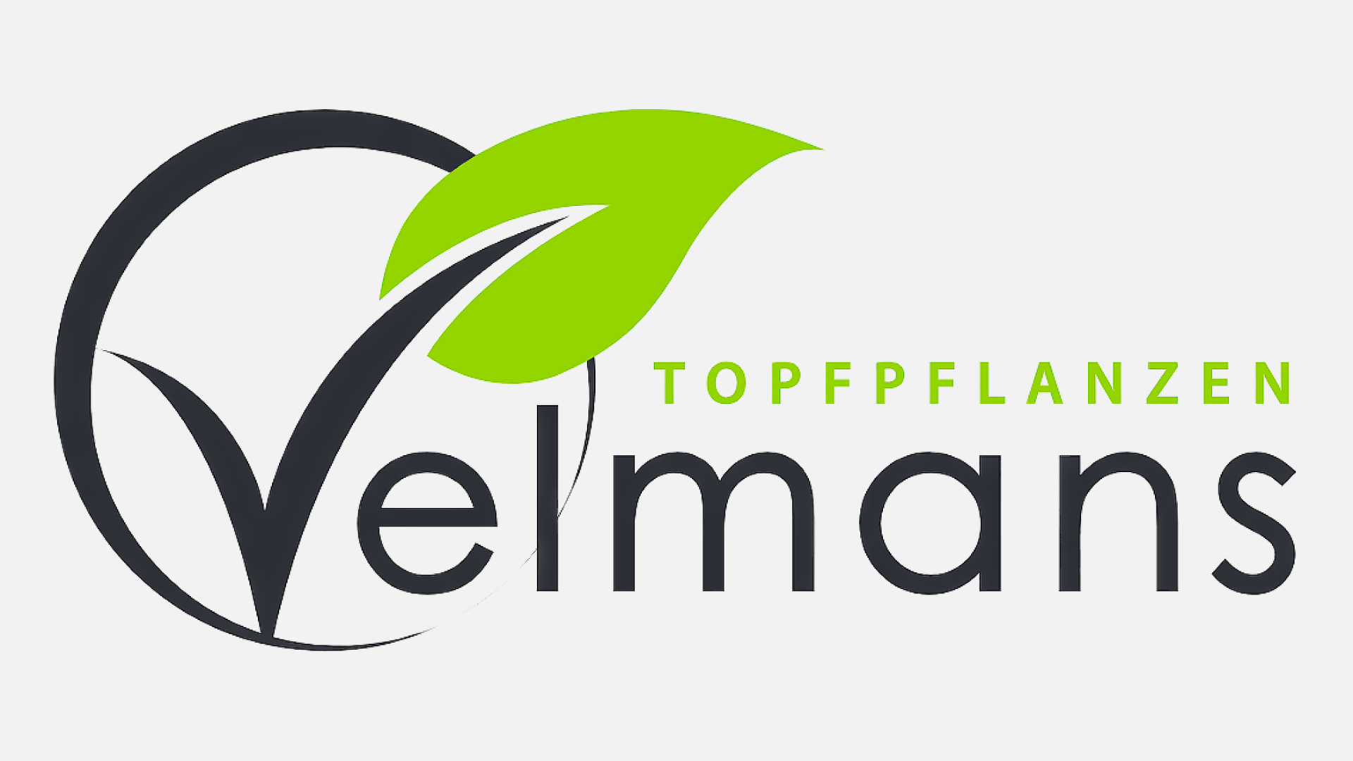 Topfpflanzen Velmans - Kevelaer kanns